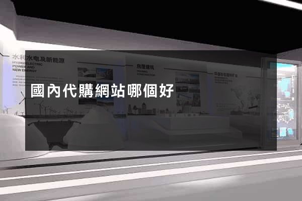 國內代購網站哪個好